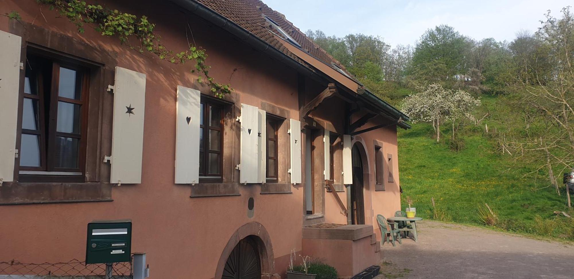 La Fermette Vosgienne De La Goutte Apartamento Steige Exterior foto