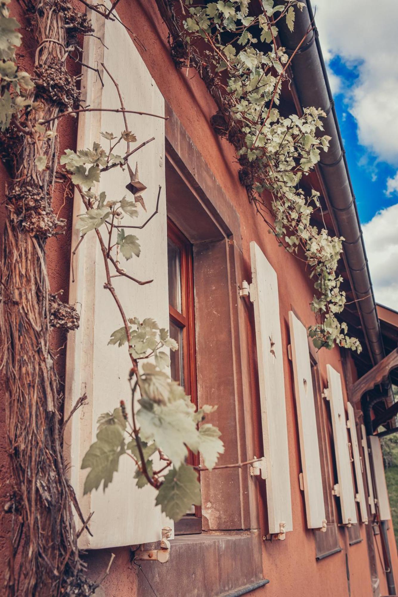 La Fermette Vosgienne De La Goutte Apartamento Steige Exterior foto