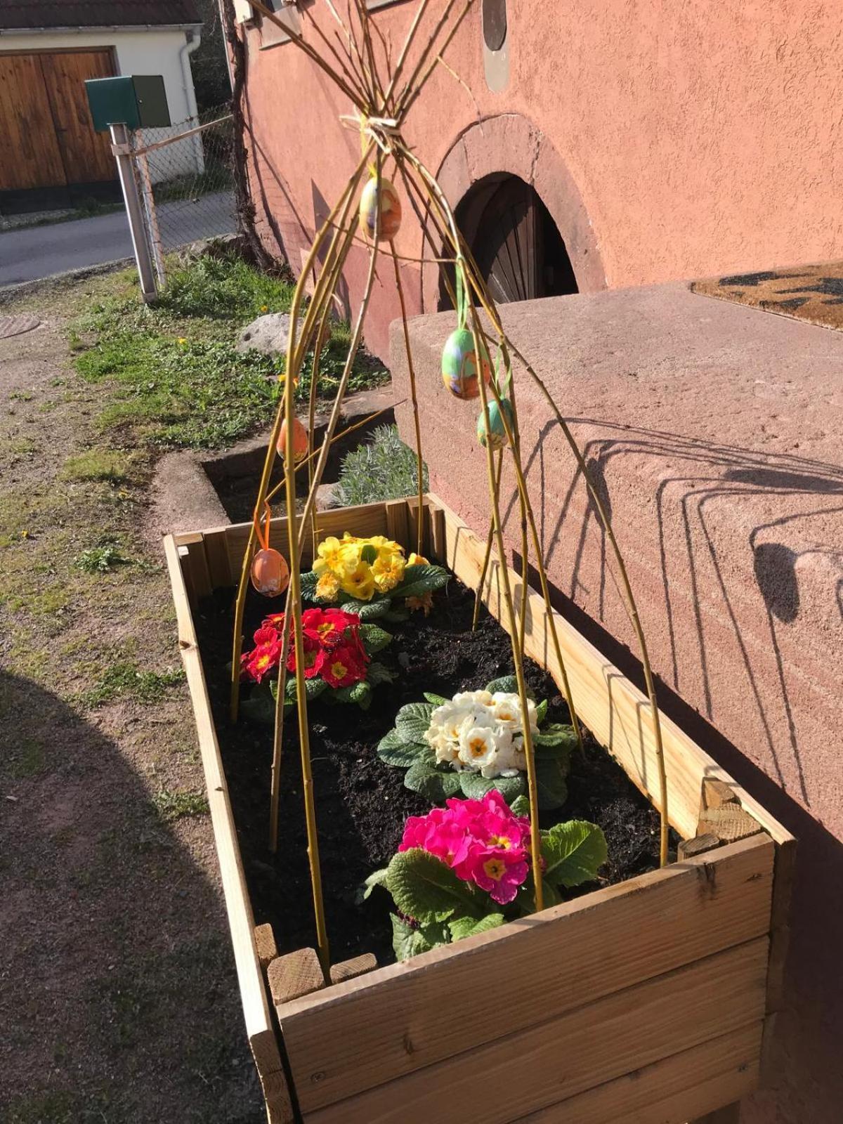 La Fermette Vosgienne De La Goutte Apartamento Steige Exterior foto